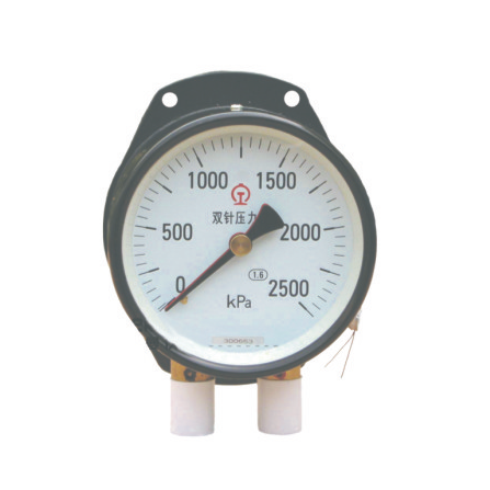 YZS-102双针压力表